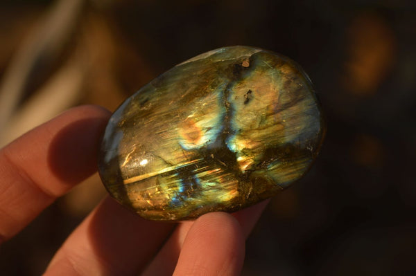 Polished  Flashy Labradorite Palm Stones  x 20 From Tulear, Madagascar