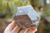 Natural Large Smokey Quartz Crystal x 1 From Mt. Mulanje, Malawi - TopRock