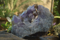 Natural Jacaranda Amethyst Cluster x 1 From Mumbwa, Zambia - TopRock