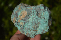 Natural Rough Shattuckite Cobbed Specimens x 12 From Kaokoveld, Namibia