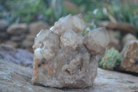 Natural Cascading White Phantom Smokey Quartz Cluster x 1 From Luena, Congo