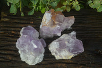 Natural Jacaranda Amethyst Clusters  x 3 From Mumbwa, Zambia - Toprock Gemstones and Minerals 