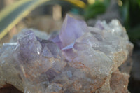 Natural Jacaranda Amethyst Cluster x 1 From Mumbwa, Zambia - TopRock