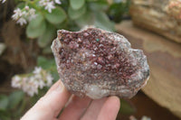 Natural Pink Salrose Cobaltion Dolomite Specimens  x 6 From Kakanda, Congo