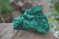 Natural Chatoyant Silky Malachite Specimens  x 3 From Kasompe, Congo