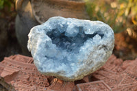 Natural Blue Celestite Geode Specimen With Gemmy Cubic Crystals  x 1 From Sakoany, Madagascar - TopRock