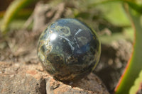 Polished Stromatolite / Kambamba Jasper Spheres  x 3 From Madagascar - TopRock