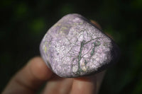 Polished Silky Purpurite Free Forms  x 12 From Namibia - TopRock