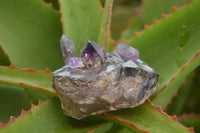 Polished Artificially Made Amethyst Crystal Clusters  x 6 From Chiredzi, Zambia - TopRock