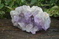 Natural Large Jacaranda Amethyst Vug Specimen  x 1 From Mumbwa, Zambia - Toprock Gemstones and Minerals 