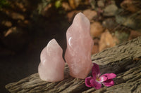 Polished Gemmy Pink Rose Quartz Flames  x 2 From Ambatondrazaka, Madagascar - TopRock