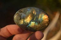 Polished  Flashy Labradorite Palm Stones  x 20 From Tulear, Madagascar