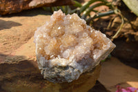 Natural Spirit Quartz Clusters  x 4 From Boekenhouthoek, South Africa - TopRock