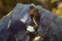 Natural Jacaranda Amethyst Cluster x 1 From Mumbwa, Zambia - TopRock