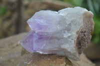 Natural Jacaranda Amethyst Clusters  x 3 From Zambia - Toprock Gemstones and Minerals 