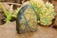 Polished Labradorite Standing Free Forms With Intense Blue & Gold Flash x 3 From Tulear, Madagascar - TopRock