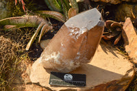 Natural Large Smokey Quartz Crystal x 1 From Mt. Mulanje, Malawi - TopRock