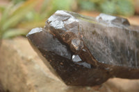 Natural Large Single Morion Smokey Quartz Crystals  x 2 From Melanje, Malawi - TopRock