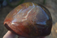 Polished Red Jasper Standing Free Forms  x 3 From Madagascar - Toprock Gemstones and Minerals 