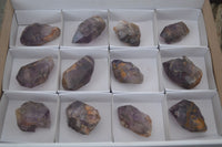 Natural New Window Amethyst Crystals  x 12 From KZN, South Africa - Toprock Gemstones and Minerals 