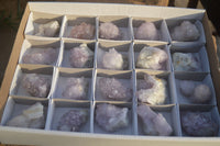 Natural Spirit Amethyst Quartz Crystals x 20 From Boekenhouthoek, South Africa