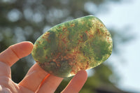 Polished Green Mtorolite Free Forms  x 12 From Zimbabwe - TopRock