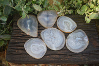 Polished Gorgeous Banded Agate Slices  x 6 From Madagascar - Toprock Gemstones and Minerals 