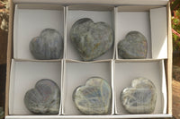 Polished Purple Flash Labradorite Hearts x 6 From Tulear, Madagascar - TopRock