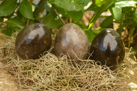 Polished Large Morion Smokey Quartz Eggs x 4 From Madagascar - TopRock