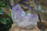 Natural Jacaranda Amethyst Clusters  x 3 From Zambia - Toprock Gemstones and Minerals 