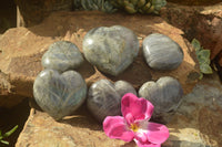 Polished Purple Flash Labradorite Hearts x 6 From Tulear, Madagascar - TopRock