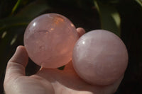 Polished  Star Rose Quartz Spheres x 3 From Ambatondrazaka, Madagascar - TopRock