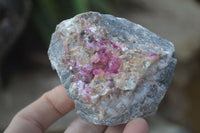 Natural Pink Salrose Cobaltion Dolomite Specimens  x 6 From Kakanda, Congo