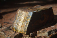 Natural Golden Blue Tigers Eye Specimens  x 2 From Prieska, South Africa - TopRock