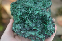 Natural Chatoyant Silky Malachite Specimen  x 1 From Congo