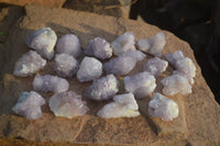 Natural Spirit Amethyst Quartz Crystals x 20 From Boekenhouthoek, South Africa