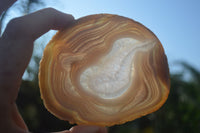 Polished Gorgeous Banded Agate Slices  x 6 From Madagascar - Toprock Gemstones and Minerals 