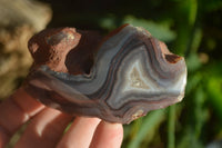 Polished River Agate Nodules  x 6 From Zimbabwe