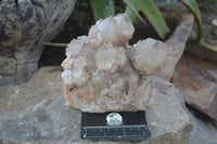 Natural Cascading White Phantom Smokey Quartz Cluster x 1 From Luena, Congo