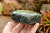 Polished Labradorite Standing Free Forms With Intense Blue & Gold Flash x 3 From Tulear, Madagascar - TopRock