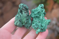 Natural Chatoyant Silky Malachite Specimens  x 7 From Kasompe, Congo