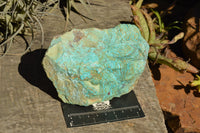 Natural Rough Blue Shattuckite & Chrysocolla Specimens  x 4 From Kaokoveld, Namibia - TopRock