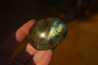 Polished  Flashy Labradorite Palm Stones  x 20 From Tulear, Madagascar