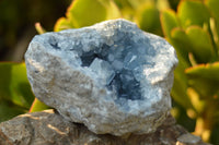 Natural Blue Celestite Geode Specimen With Gemmy Cubic Crystals  x 1 From Sakoany, Madagascar - TopRock