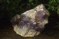 Natural Jacaranda Amethyst Cluster x 1 From Mumbwa, Zambia - TopRock