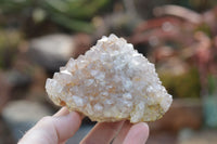 Natural Spirit Quartz Clusters  x 4 From Boekenhouthoek, South Africa - TopRock