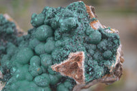 Natural Rare Ball Malachite On Drusy Quartz & Dolomite Matrix  x 1 From Kambove, Congo - Toprock Gemstones and Minerals 