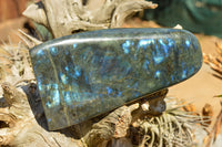 Polished Labradorite Standing Free Form With Deep Blue Flash x 1 From Sakoany, Madagascar - TopRock