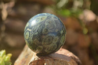 Polished Stromatolite / Kambamba Jasper Spheres  x 3 From Madagascar - TopRock