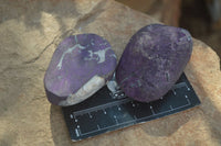 Polished Silky Purpurite Free Forms  x 12 From Namibia - TopRock